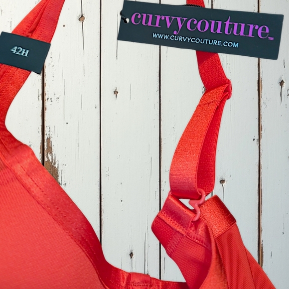 Curvy Couture Plus Size Women's Sheer Mesh lined Plunge T-Shirt Bra 42H NWT - Picture 9 of 9